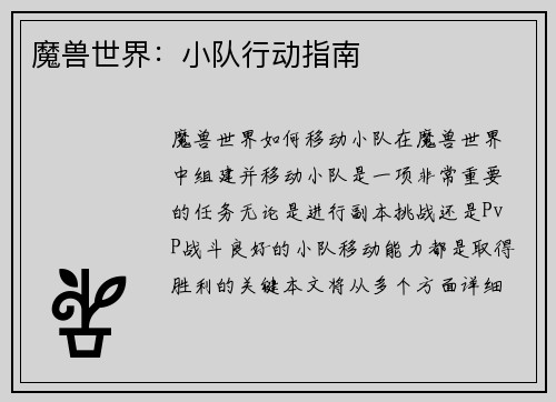 魔兽世界：小队行动指南