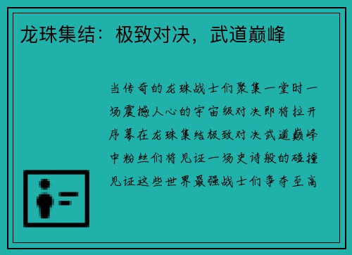 龙珠集结：极致对决，武道巅峰